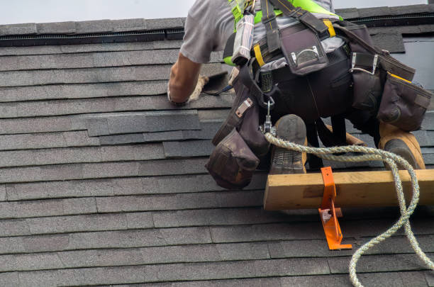 Best Storm Damage Roof Repair  in Prairie Grove, AR